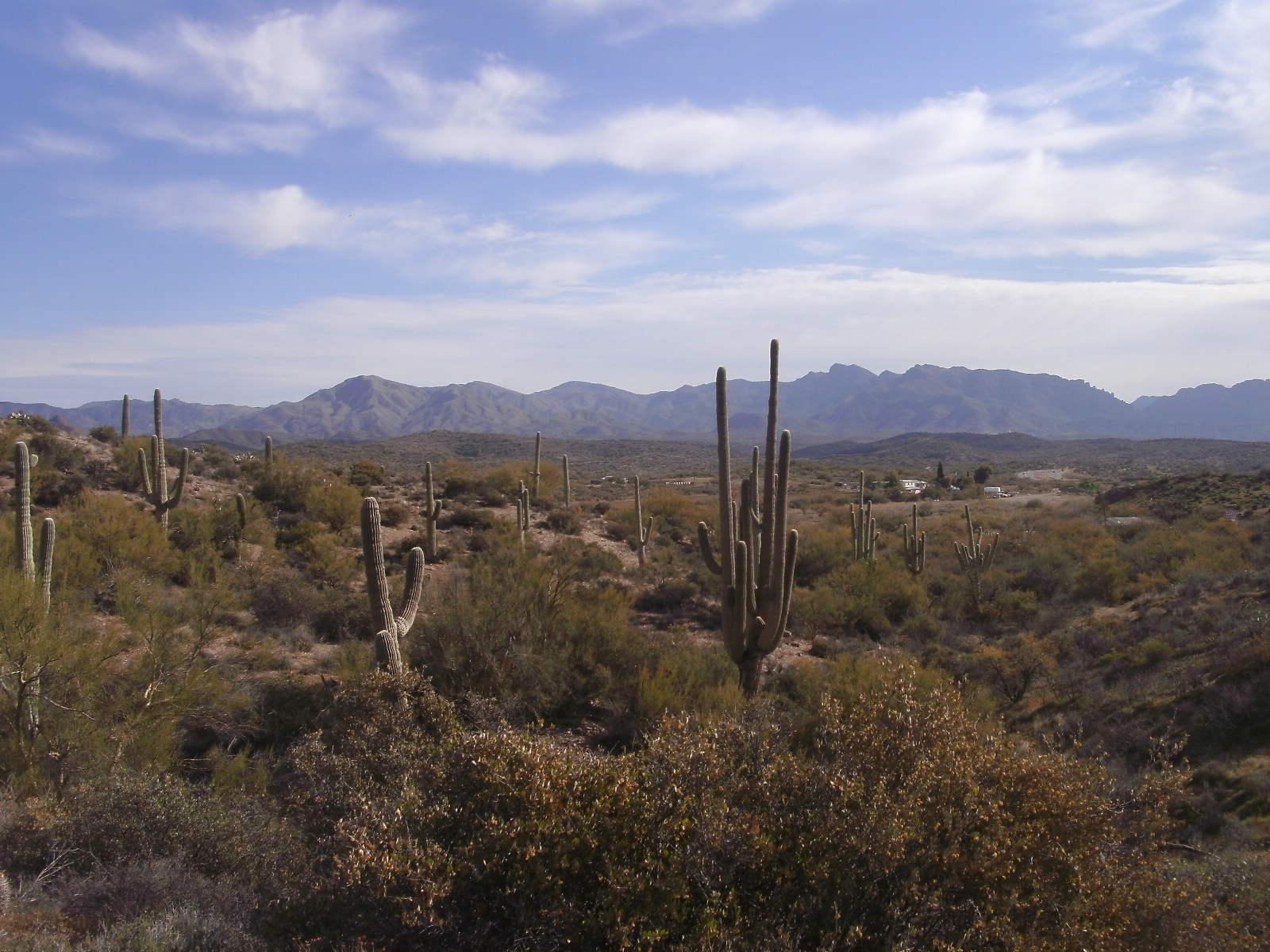 Hiking and Nature Photo